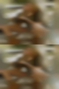Find out by yourself women who just wanna fuck (.